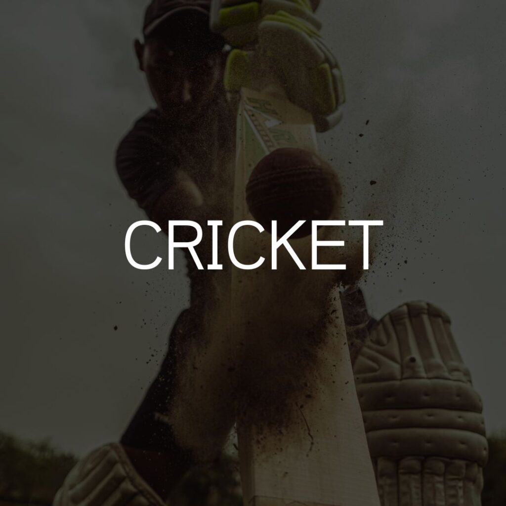 Cricket Bat